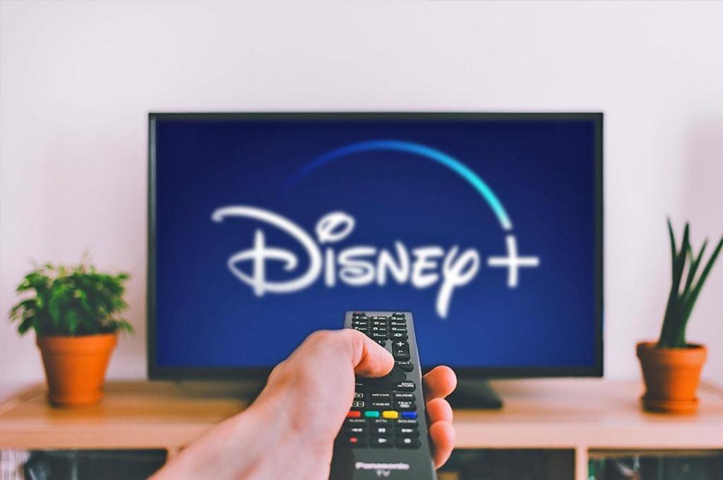 Pentru Plata Numerar Cautati Pe G00Gle, Norsk Skogkatt Galati - Big Tv Disneyplus Tv! Zewnętrze zdjęcie